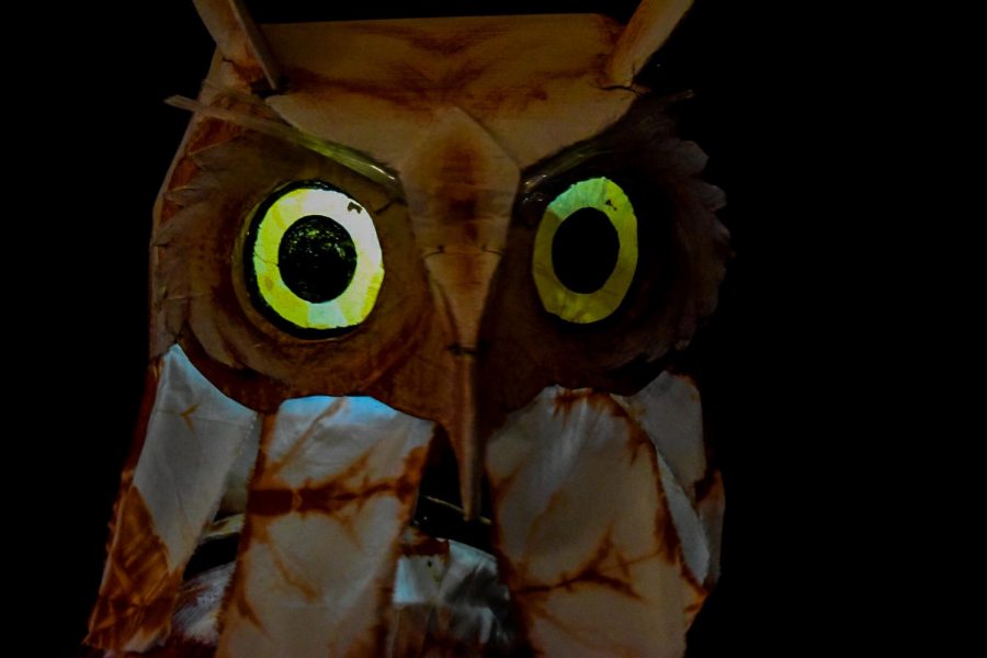 Owl puppet in Sinterklaas Parade