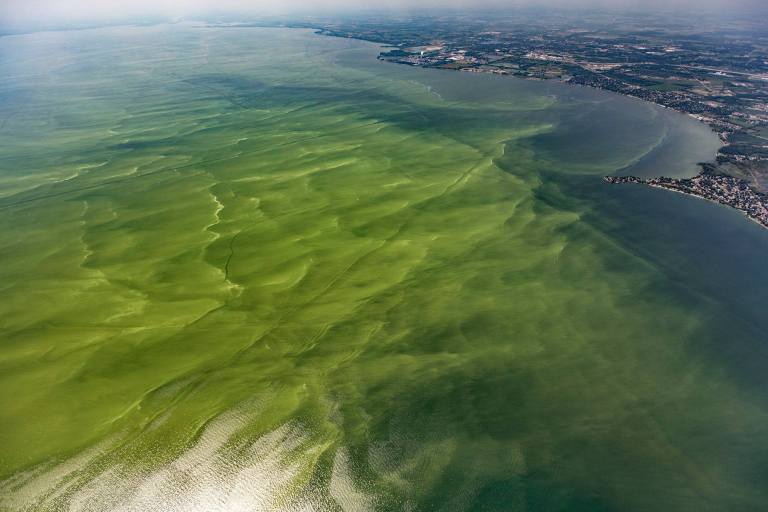 A photo of Lake Eries algae bloom