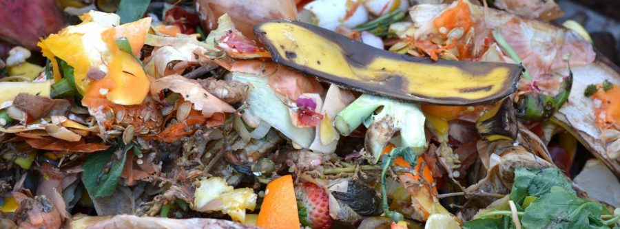 The Hidden Solution to Climate Change: Composting
