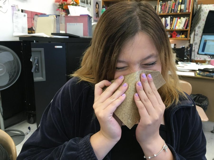 New and improved school tissues, now made out of sandpaper! SO much softer and gentle on the nose.