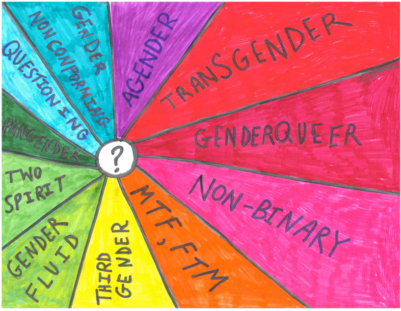 The+Gender+Spectrum+is+vast+and+can+be+confusing.+The+Gender+Plan+works+to+help+you+make+a+set+outline+of+steps+to+help+you+feel+comfortable+and+safe+in+your+body+and+your+school+.