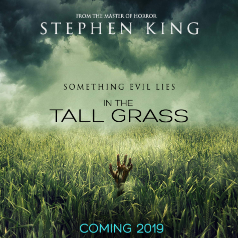 "In the Tall Grass" (2019) Review