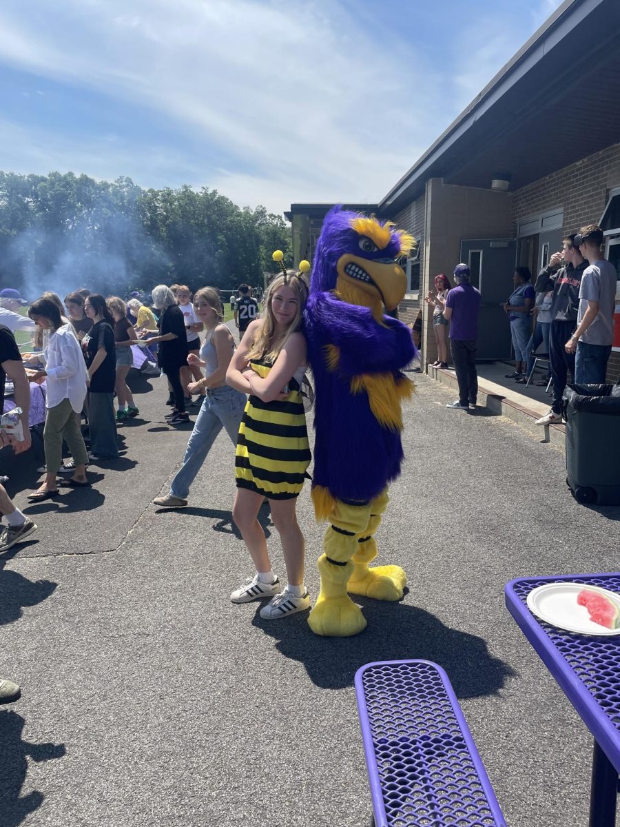 Rhinebeck Hawk poses at the Spring 2025 Hawk Day