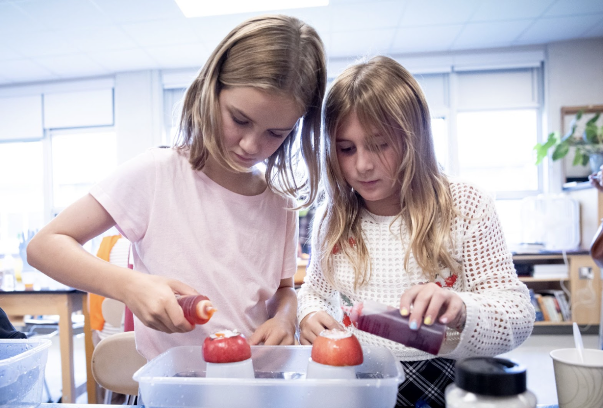 Students participate in science experiments at the Discovery Festival  