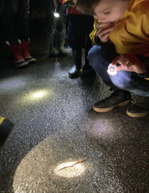 A young child spotting a gecko during “Big Night”